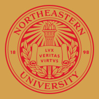 Northeastern University Urban Hoodie | Teevron