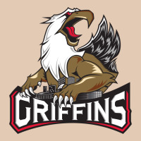 The Griffins, Grand Rapids Urban Hoodie | Teevron