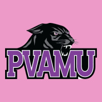 Prairie View A&m Panthers And Lady Panthers Urban Hoodie | Teevron