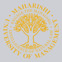Maharishi International College Urban Hoodie | Teevron