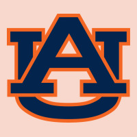 Auburn Tigers Urban Hoodie | Teevron