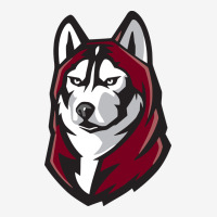 Bloomsburg Huskies Urban Hoodie | Teevron
