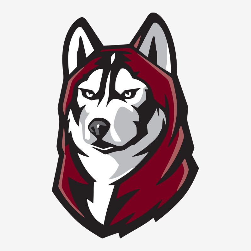 Bloomsburg Huskies Urban Hoodie by artisFamous | Teevron