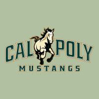 Cal Poly Mustangs Urban Hoodie | Teevron