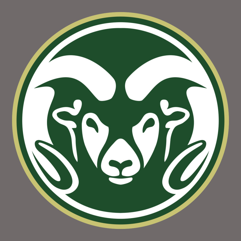 Colorado State Rams Urban Hoodie by artisFamous | Teevron