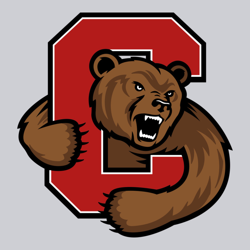Cornell Big Red Urban Hoodie by artisFamous | Teevron