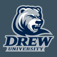 Drew University Urban Hoodie | Teevron