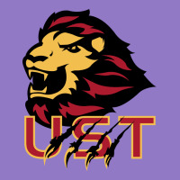University Of Saint Thomas Spirit Urban Hoodie | Teevron