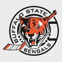 Buffalo State College Urban Hoodie | Teevron