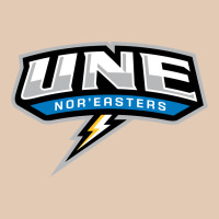 New England University Urban Hoodie | Teevron