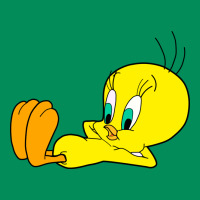 Tweety Bird Urban Hoodie | Teevron