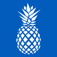 Pineapple Sunset Urban Hoodie | Teevron