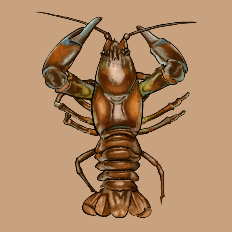 Crawfish Vintage Tee by FaDigitalArtStudio | Teevron