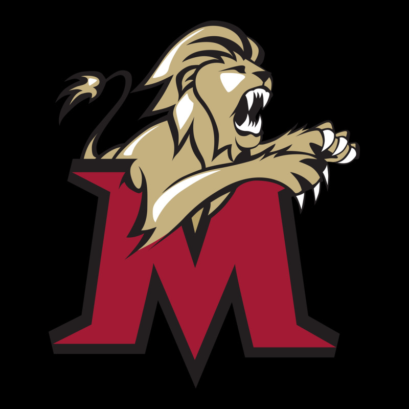 Lions, Molloy College Urban Hoodie by linhVisuals | Teevron