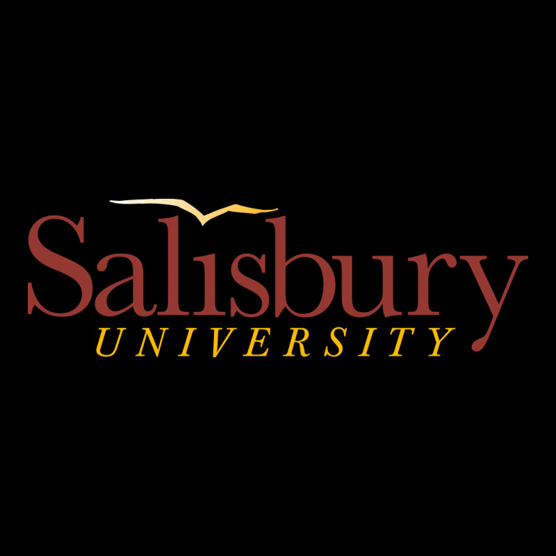 Salisbury University Urban Hoodie by linhVisuals | Teevron