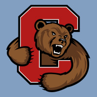 The Cornell Big Red Urban Hoodie | Teevron