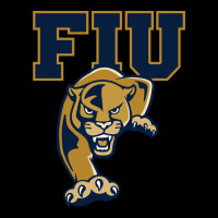 The Fiu Panthers Urban Hoodie | Teevron