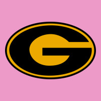 The Grambling State Tigers Urban Hoodie | Teevron