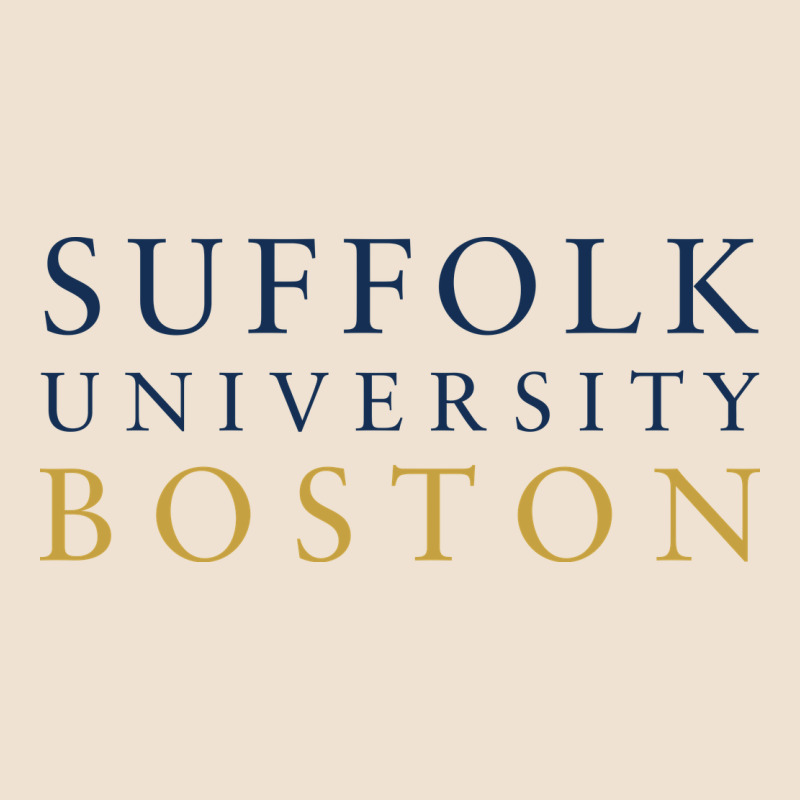 Suffolk University Urban Hoodie by linhVisuals | Teevron