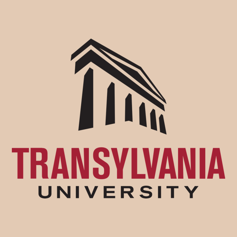 Transylvania University Urban Hoodie by linhVisuals | Teevron