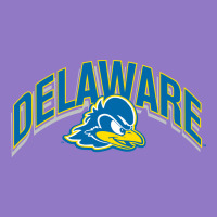 Delaware Sportss Urban Hoodie | Teevron
