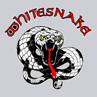 Whitesnake Ws Urban Hoodie | Teevron