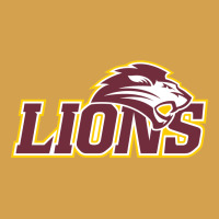 Freed–hardeman University Lion Urban Hoodie | Teevron
