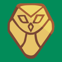 The Owl House Urban Hoodie | Teevron