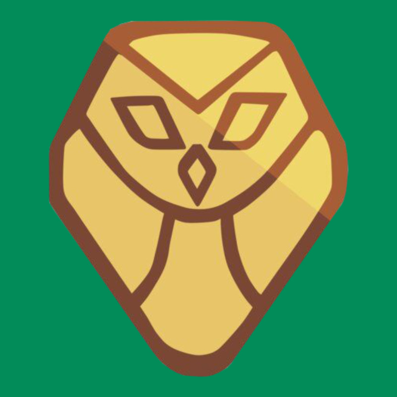 The Owl House Urban Hoodie by linhVisuals | Teevron