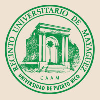 Upr At Mayaguez Urban Hoodie | Teevron