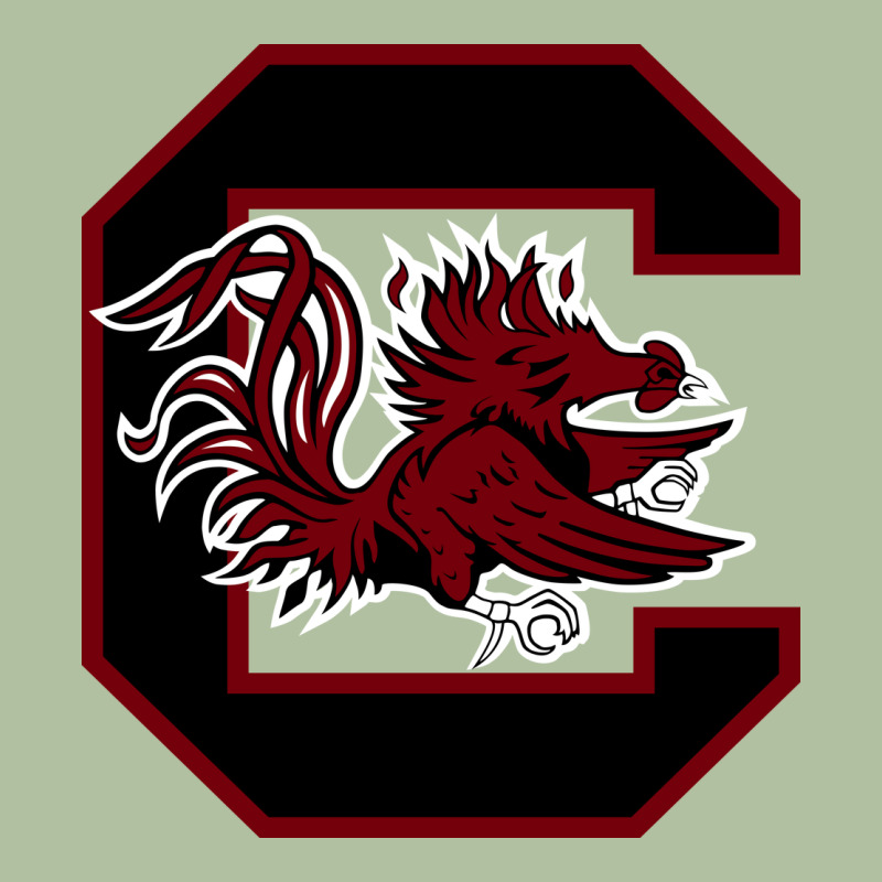 The Gamecocks Athletics Urban Hoodie by linhVisuals | Teevron