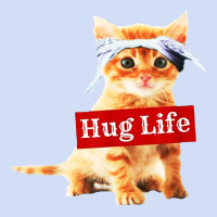 Hug Life Kitty Cat Urban Hoodie | Teevron