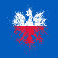 Polish Eagle  Polish Pride  Polish Flag  Polish T Shirt Urban Hoodie | Teevron