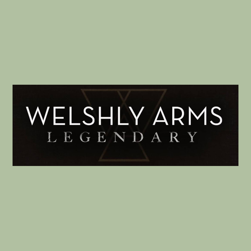 Welshly Arms 005 Urban Hoodie by linhVisuals | Teevron