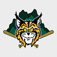 Lynchburg Hillcats Baseball Urban Hoodie | Teevron