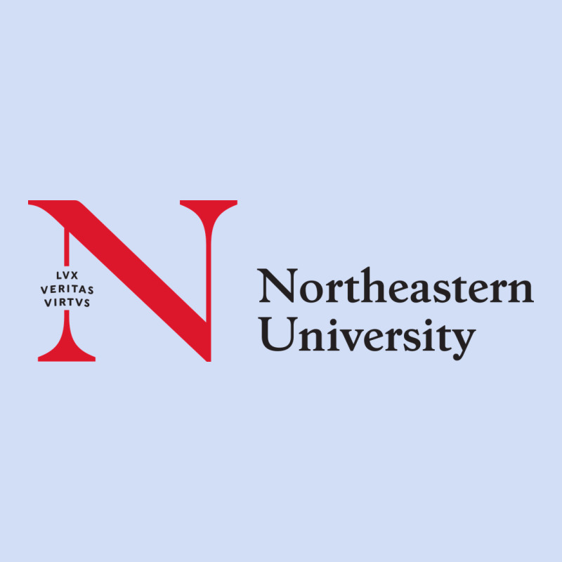The The Northeastern Urban Hoodie by linhVisuals | Teevron