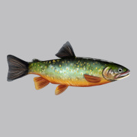 Greenback Cutthroat Trout Fish Long Sleeve Tee | Teevron