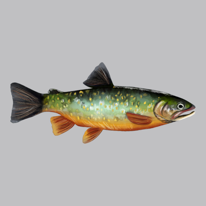Greenback Cutthroat Trout Fish Long Sleeve Tee by RanaPortraitStore | Teevron