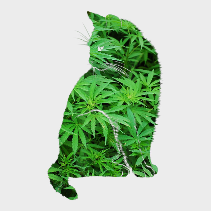 Funny Cannabis & Cat Lover Marijuana Weed Smoker Art T Shirt Urban Hoodie by linhVisuals | Teevron