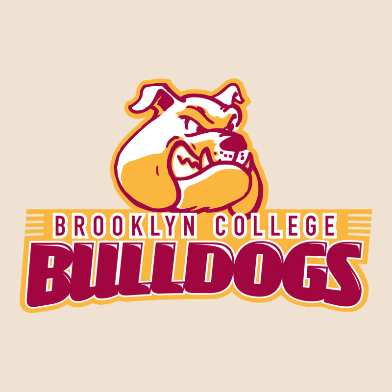 Brooklyn College Urban Hoodie by linhVisuals | Teevron