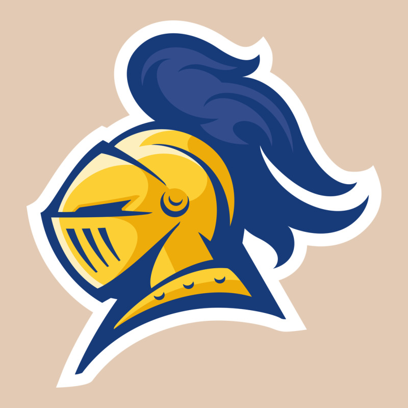 Carleton College Urban Hoodie by linhVisuals | Teevron