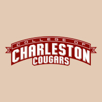 Charleston Cougars Urban Hoodie | Teevron
