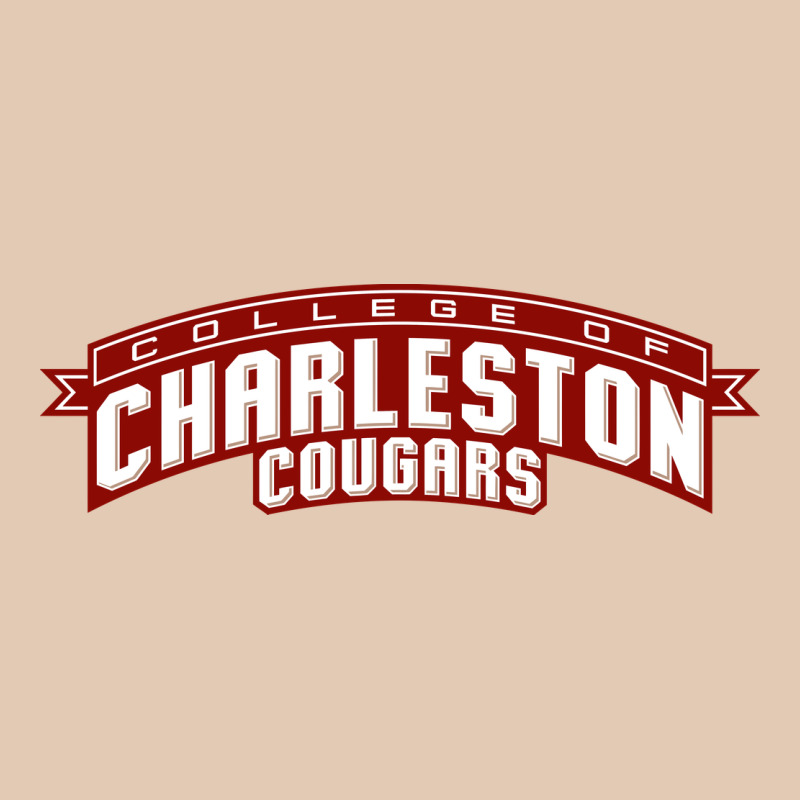 Charleston Cougars Urban Hoodie by linhVisuals | Teevron