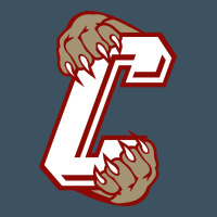 Charleston Cougars Urban Hoodie | Teevron