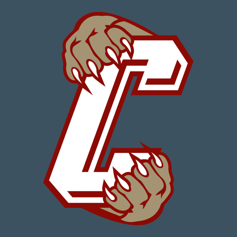 Charleston Cougars Urban Hoodie by linhVisuals | Teevron