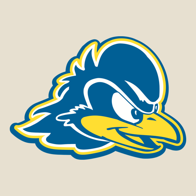Delaware Blue Hens Urban Hoodie by linhVisuals | Teevron