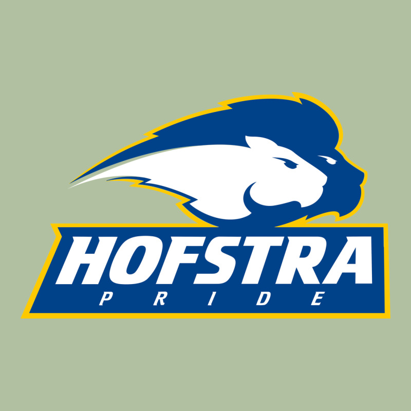 Hofstra Pride Urban Hoodie by linhVisuals | Teevron