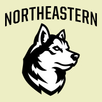 Northeastern Huskies Urban Hoodie | Teevron