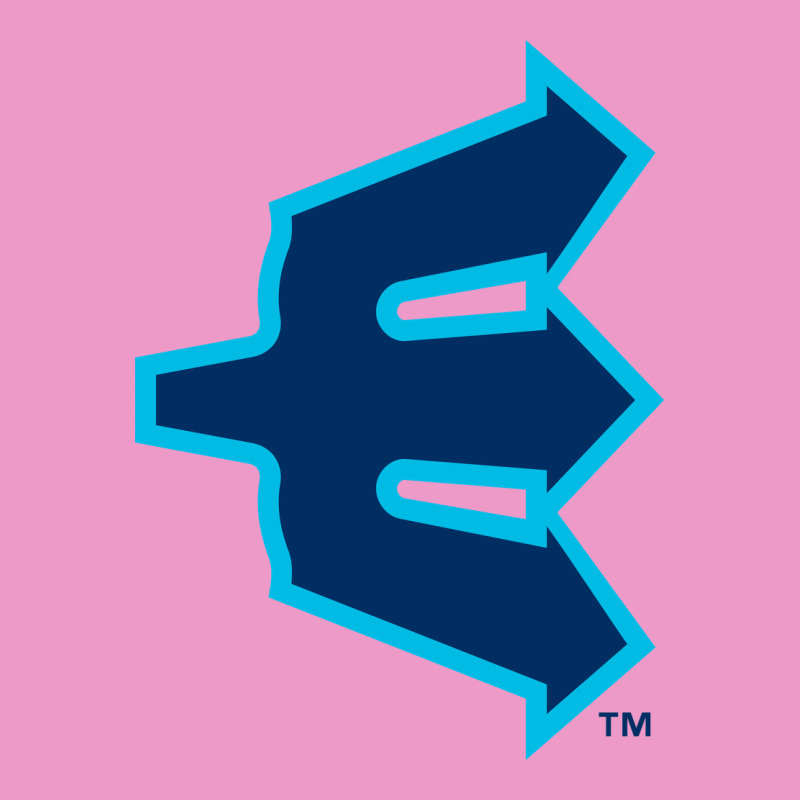 Everett Aquasox Urban Hoodie by linhVisuals | Teevron