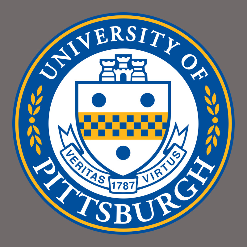 University Of Pittsburgh Urban Hoodie by linhVisuals | Teevron